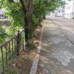 柿川夜桜閑話　118　くさとり