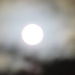 柿川夜桜閑話　126　